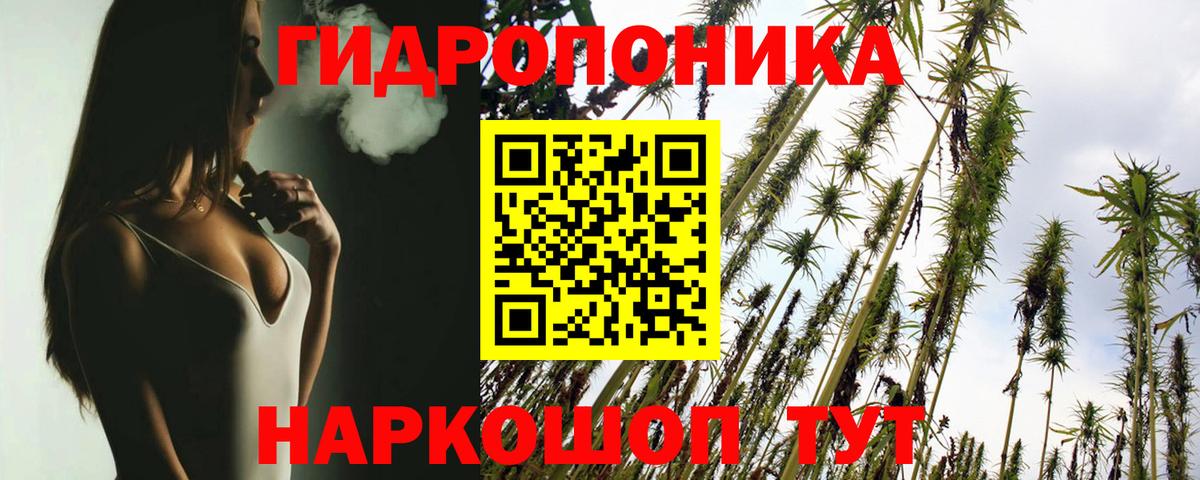 Канабис THC 21%  Каннабис сатива  Вход с VPN  Марихуана ГИДРОПОН  Ухта 